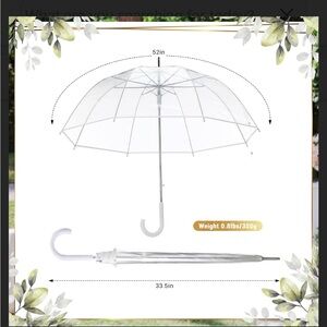 Clear Umbrella with White Handle